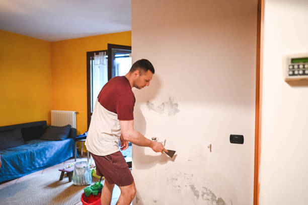 Best Office Mold Removal Services  in Kingsbury, NV